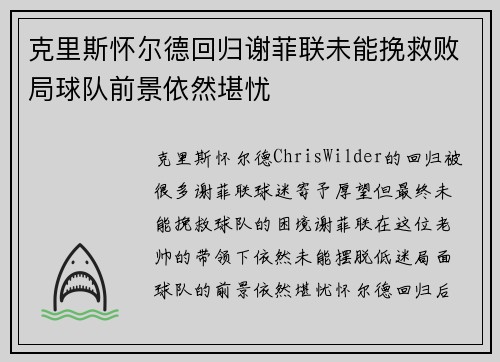 克里斯怀尔德回归谢菲联未能挽救败局球队前景依然堪忧